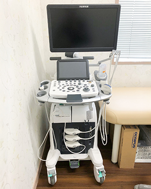 FUJIFILM 超音波診断装置 ARIETTA 65LE LV
